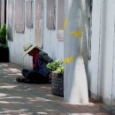 김광석 다시 그리기 길 이미지