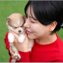 대실역남로4길 이미지