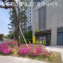 힐즈파크공인중개사사무소 이미지