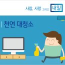 봄 맞이 친환경 대청소, 천연 재료로 도전! 이미지