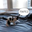 유네일 이미지