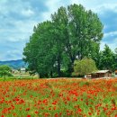 다래목장 이미지