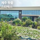 스타벅스 제주 한정메뉴 송당파크R점 텀블러 굿즈 후기 신상 핫플