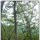 상원사샘터 이미지