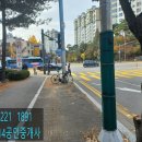 논현애견샾 이미지