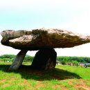 대왕농장2 이미지