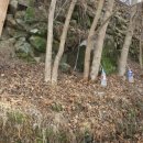 (주)제주선인 이미지