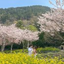 투다리(성산공원점) | 4월 첫째 주