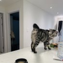 로이메디 이미지