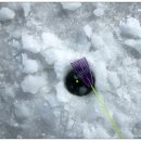 파주 송어축제 따라가기