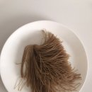 면타발