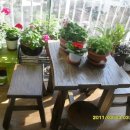 정가차이나 이미지