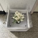 [수원] 부케순이 리부케 망포 부케데이 후기 내돈내산