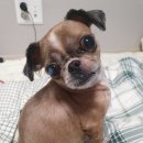 몽앤츄 이미지