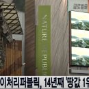 네이처시가 이미지