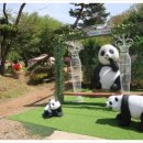 토종한우농장 이미지