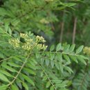 호용농장 이미지