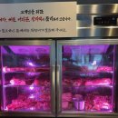 시니세
