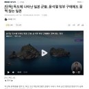 이미 독도에 나타난 일본군함 펌 이미지