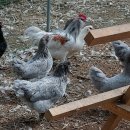 청등농장 이미지