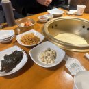 허니피그