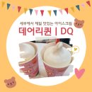 DQ소프트 이미지