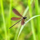 진정마을회관 이미지