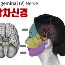 엔한의원 이미지