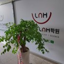 입시전문LnH학원