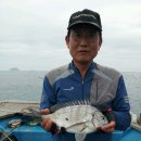 상사리(상) 이미지