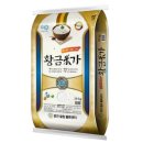 황금미가 이미지