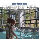 동두천자연휴양림 세미나실1 | 아이랑 1박 여기 하나면 끝! 동두천 자연휴양림 림스파 숲놀이터 모래놀이 코스