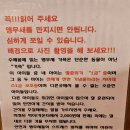 수예몽 | 의왕백운호수 브런치 카페 수예몽 앵무새가 있는 곳 내돈내산 후기