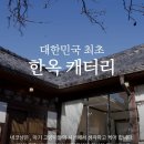 힐링캐터리 | 경주고양이분양 애견샵이 아닌 네코냥캐터리