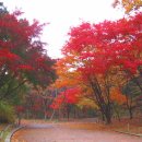 한국의 산하 추천, 시기별 단풍명산 15선, 이미지