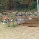 oh my dog(오마이독) 이미지