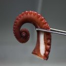 문어이야기 이미지