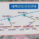 만항등산로입구 이미지