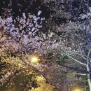 화곡로4길 이미지