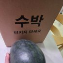 맛있고 특이한 달큰 노란수박! 블랙망고수박 먹기