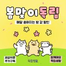 서울 원룸텔 최저가에서 프리미엄 고시원까지