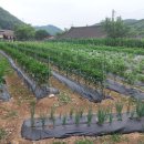 명현농장 이미지