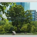 많은물소리공연장 이미지