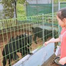 농장고구려 이미지