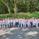 해여울어린이집 이미지