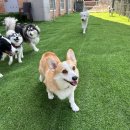 불리빌로우코리아센터 이미지