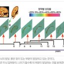 원주혜윰아동;청소년발달센터