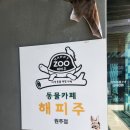해피주 동물카페 원주점 | [강원도 원주] 해피주 / 실내에서 만나는 다양한 동물들 / 이색체험💕