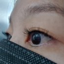 광평동로 (제주한라대학교방면) | 제주속눈썹연장 뷰티명소 자미한뷰티 한라대점