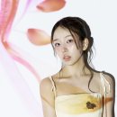 백아연 카카오 검색결과
